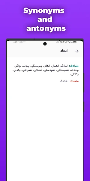 Farsi Dehkhoda Dictionary Screenshot 3