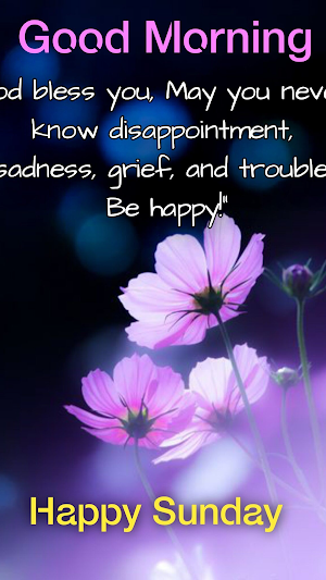 Happy Morning Sunday Blessings Screenshot 3