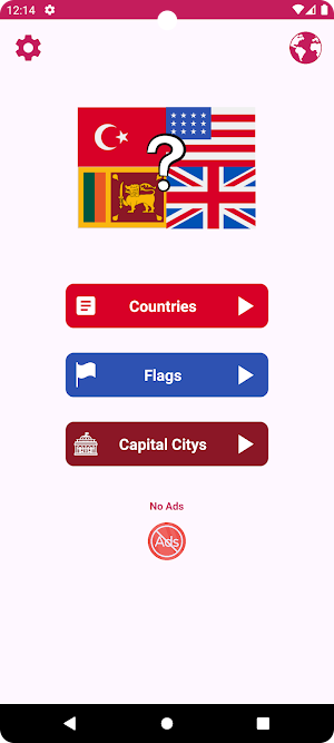 Flag Game Screenshot 0