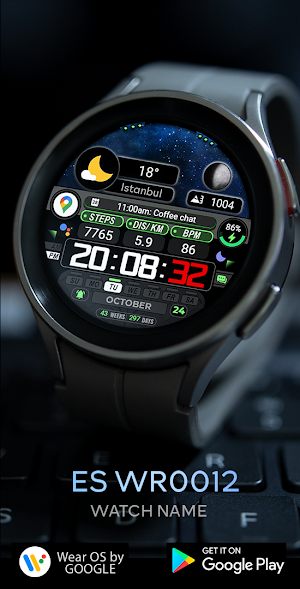 ES WR0012 Screenshot 2