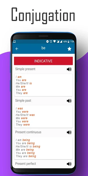 English verbs conjugation - offline Screenshot 3