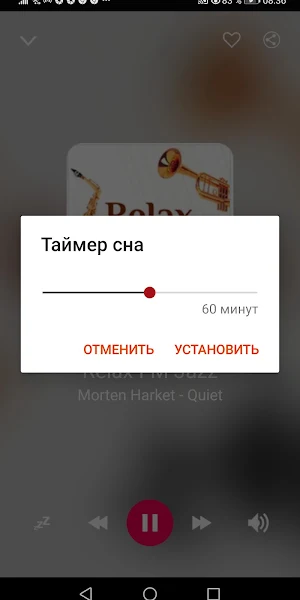 Русские Радиостанции Эмбиент И Screenshot 3
