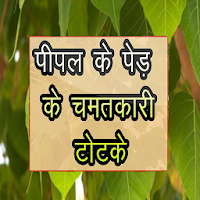 पीपल के पेड़ के टोटके