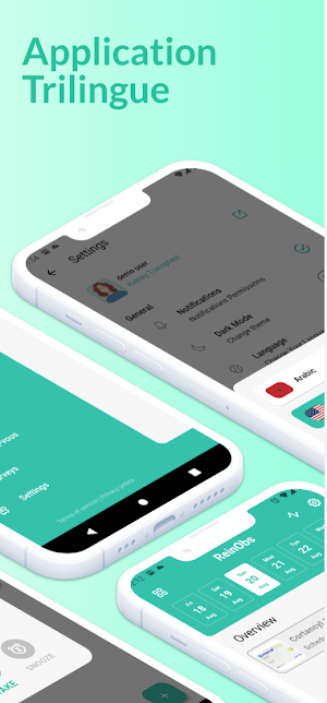 ReinObs Screenshot 1