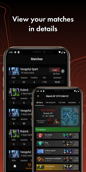Dota 2 Assistant Screenshot 2