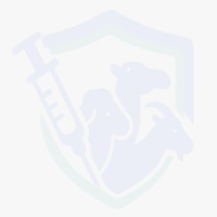 حصانة