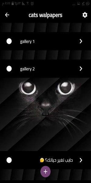 Cats wallpapers Screenshot 1