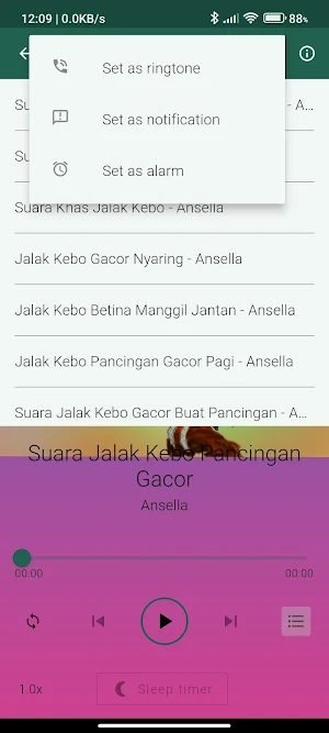 Suara Burung Jalak Gacor Screenshot 3