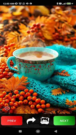 Fall Wallpapers Screenshot 2