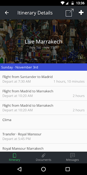 Palatine Travel Live Screenshot 1
