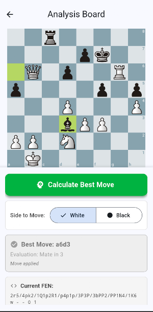 Chess Puzzle Pro Screenshot 2