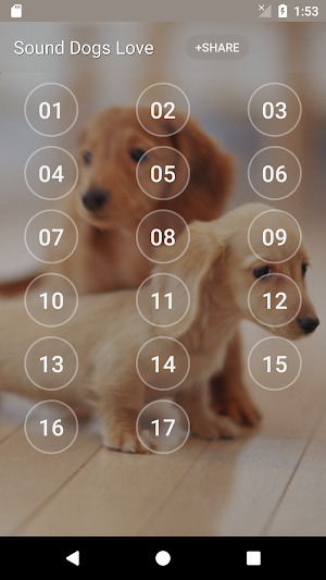 Sound Dogs Love Screenshot 0