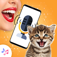 Cat to Human Translator - Meow