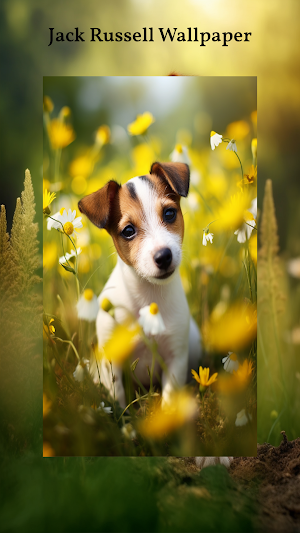 Jack Russell Terrier Wallpaper Screenshot 0