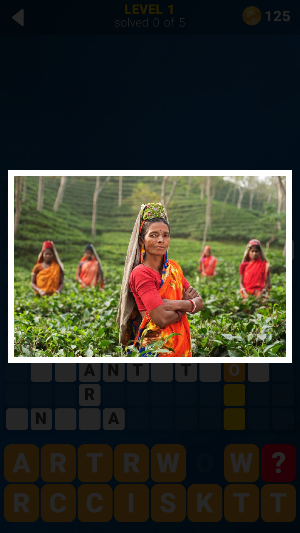 140 Photo Crosswords Screenshot 1