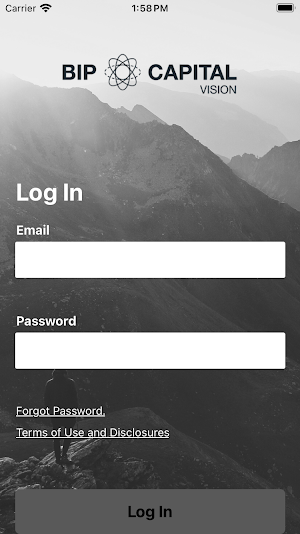 BIP Capital Vision Screenshot 2