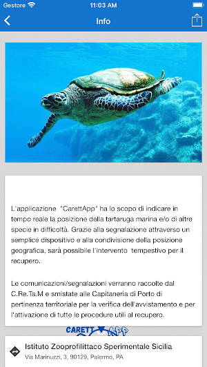 CarettApp Screenshot 1
