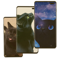 Cute Black Cat Wallpaper