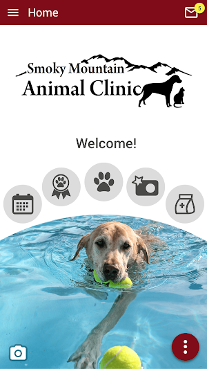 SMOKY MTN VET Screenshot 0