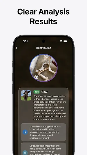 Bone, Skull & Tooth Identifier Screenshot 1