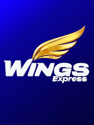 Wings Express Screenshot 3