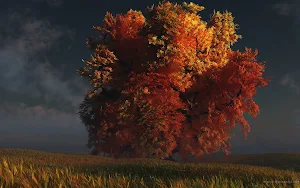 Tree Wallpapers Screenshot 2