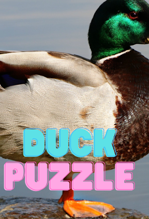 The Duck Picture Puzzle Screenshot 1