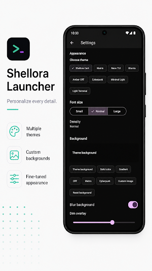 Shellora Screenshot 2
