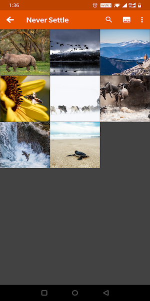 Lite Gallery Screenshot 0