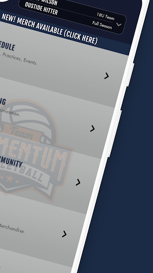 Team Momentum Volleyball Screenshot 1
