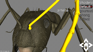 3D Ant Explorer Demo Screenshot 0