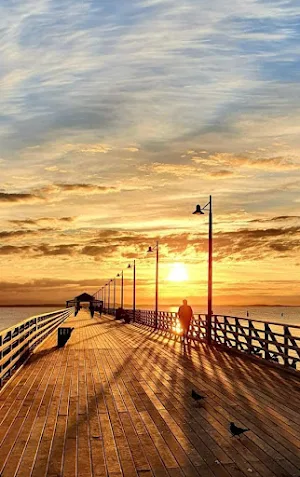 Sunrise and Sunset Wallpaper Screenshot 0