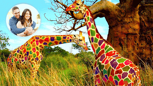 Wild Animals GIF Photo Frame Screenshot 3