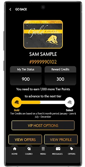 Buffalo Run Casino & Resort Screenshot 1