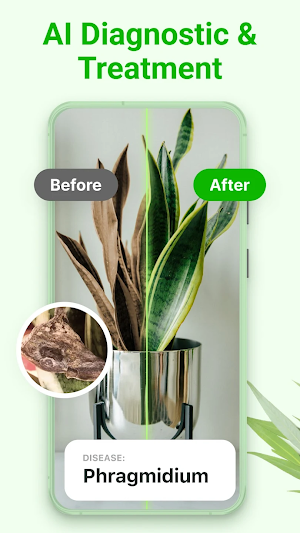 Leavif - Plant identifier Screenshot 1