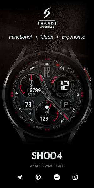 SH004 Watch Face, WearOS watch Screenshot 0