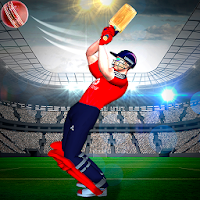 Real World Cricket Tournament 