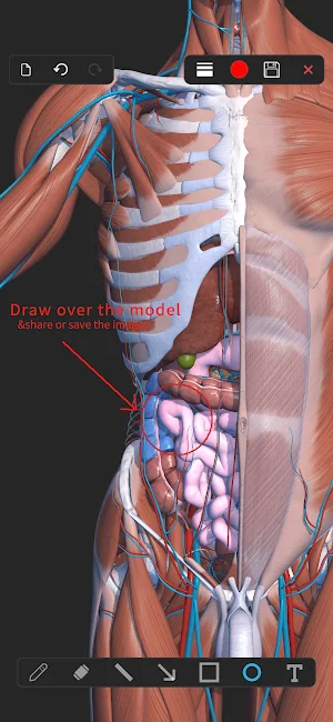 Visual Anatomy 3D - Human body screenshot 6