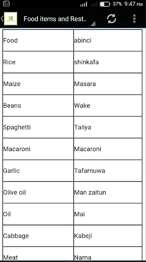 Learn Hausa Screenshot 2
