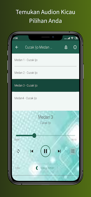 Cucak Ijo Gacor Ngentrok Screenshot 3