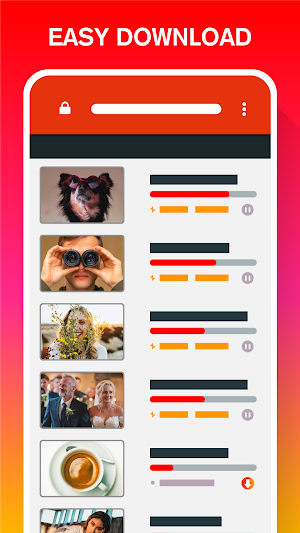Video Downloader Master Screenshot 2