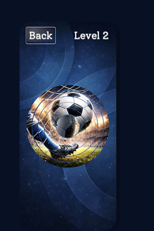 Ring Puzzle Screenshot 2