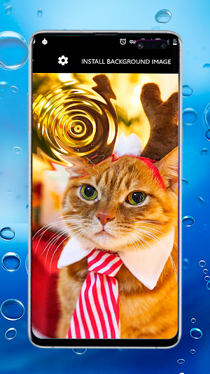 Christmas Cat Cute Kiti Live W Screenshot 0