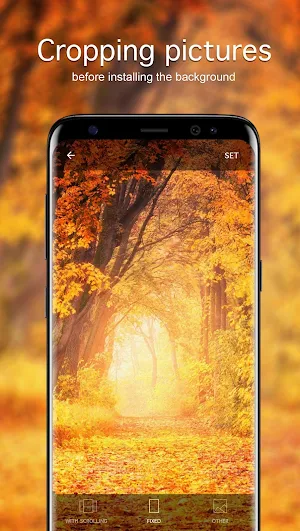 Autumn Wallpapers 4K Screenshot 2