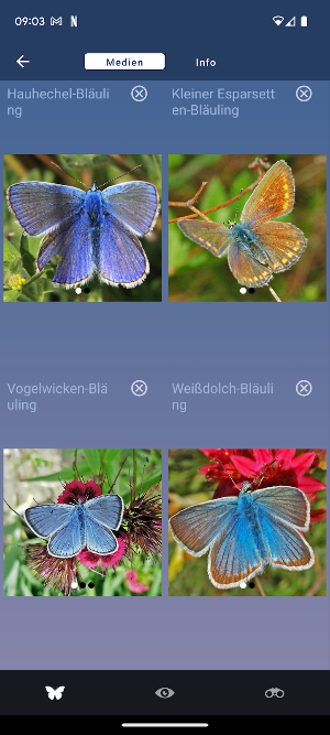Schmetterling Id - Tagfalter Screenshot 2