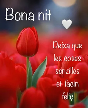 Bon Dia Bona Nit Screenshot 2