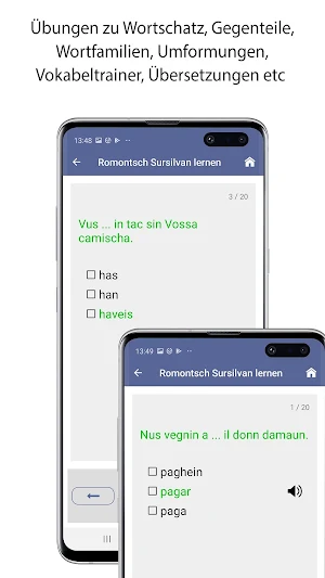 Verben Romontsch Sursilvan Screenshot 2