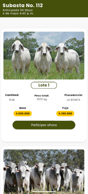 Sugaberrioapp Screenshot 3