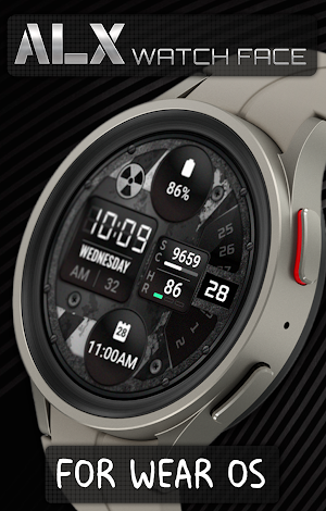 ALX25 LCD Watch Face Screenshot 3