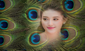 Peacock Feathers Photo Frame Screenshot 2